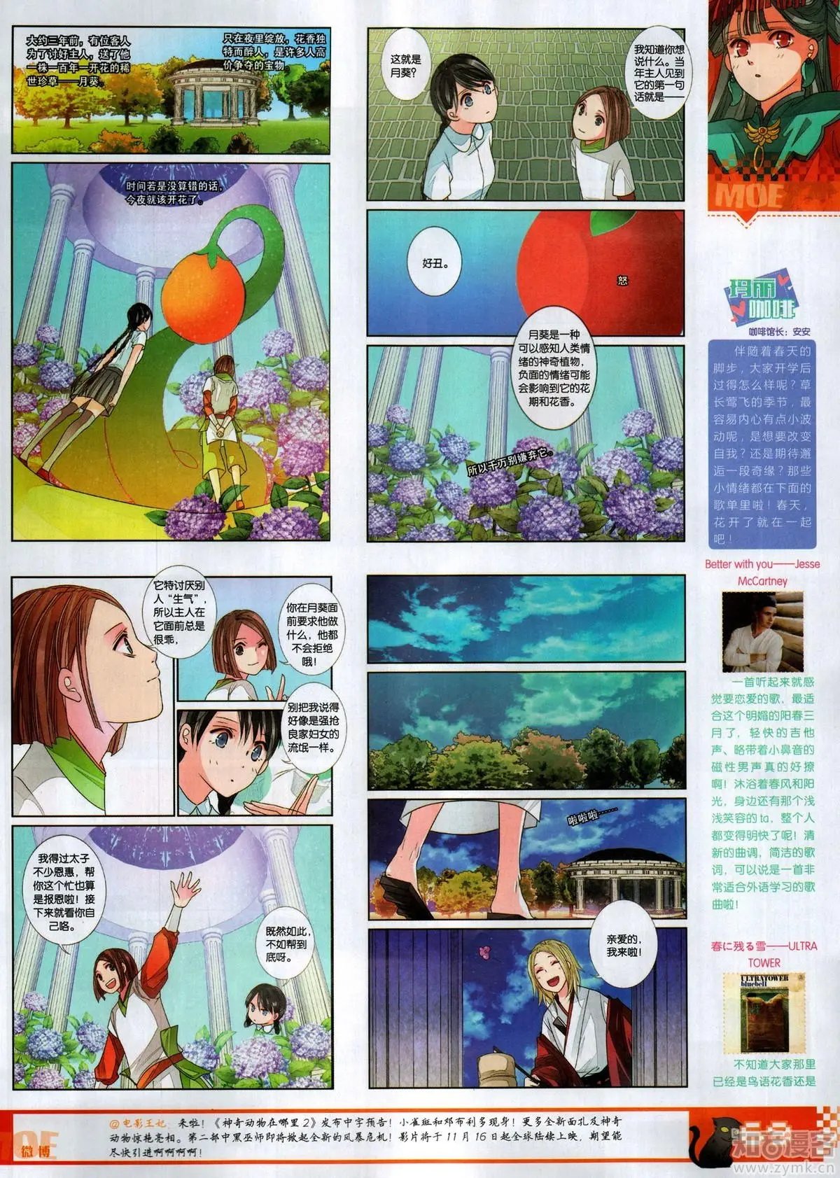 第504期