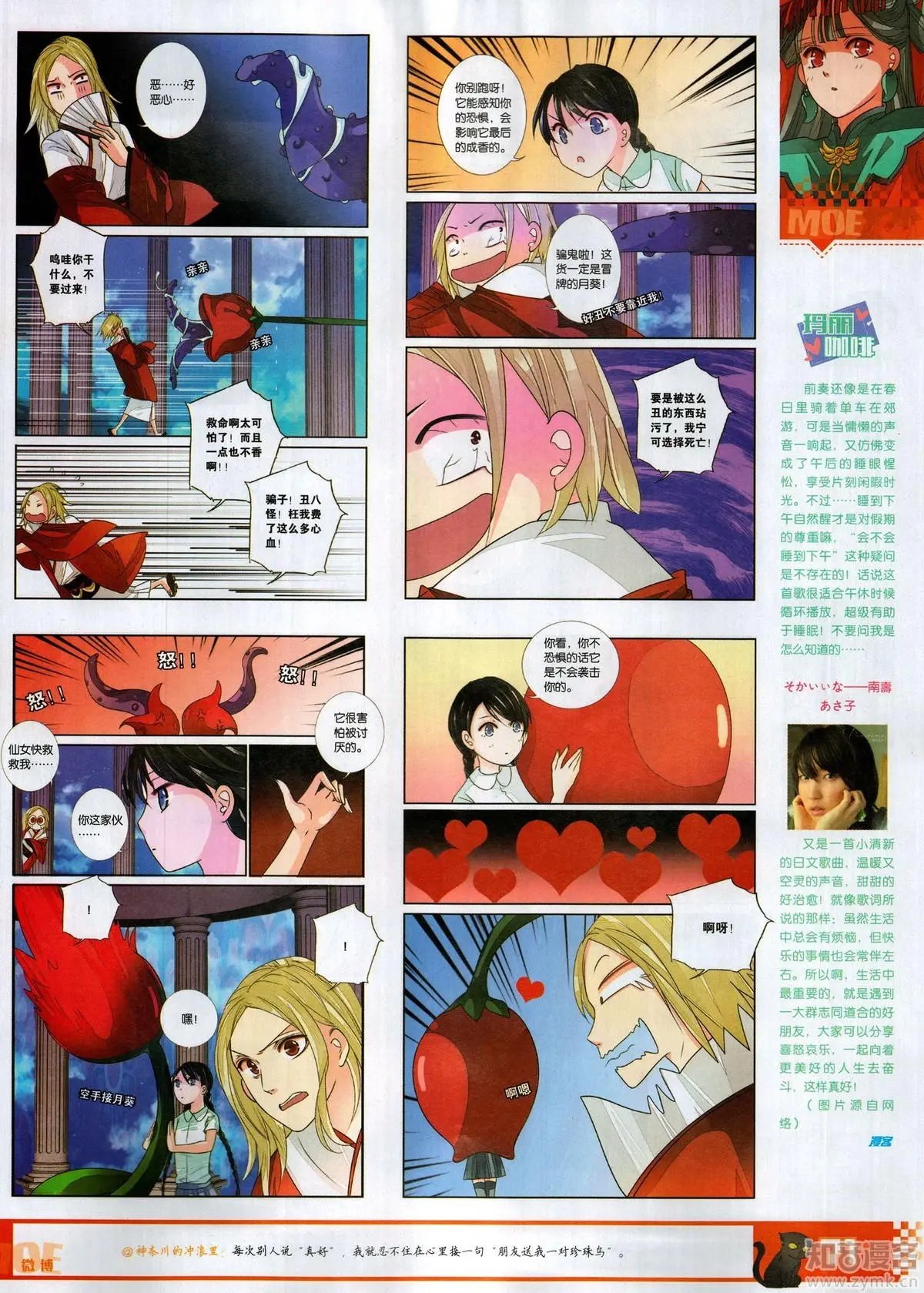 第504期