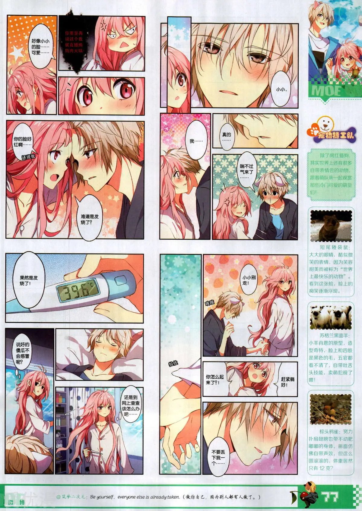 第508期