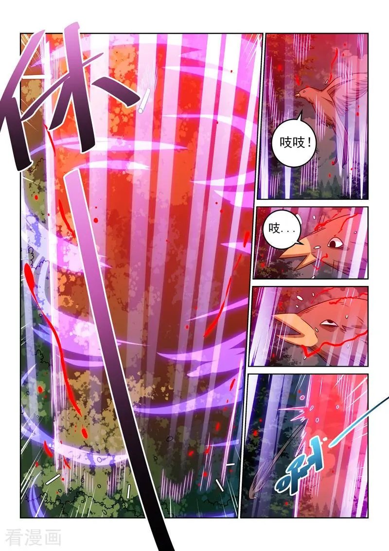 第138话 林枫出手