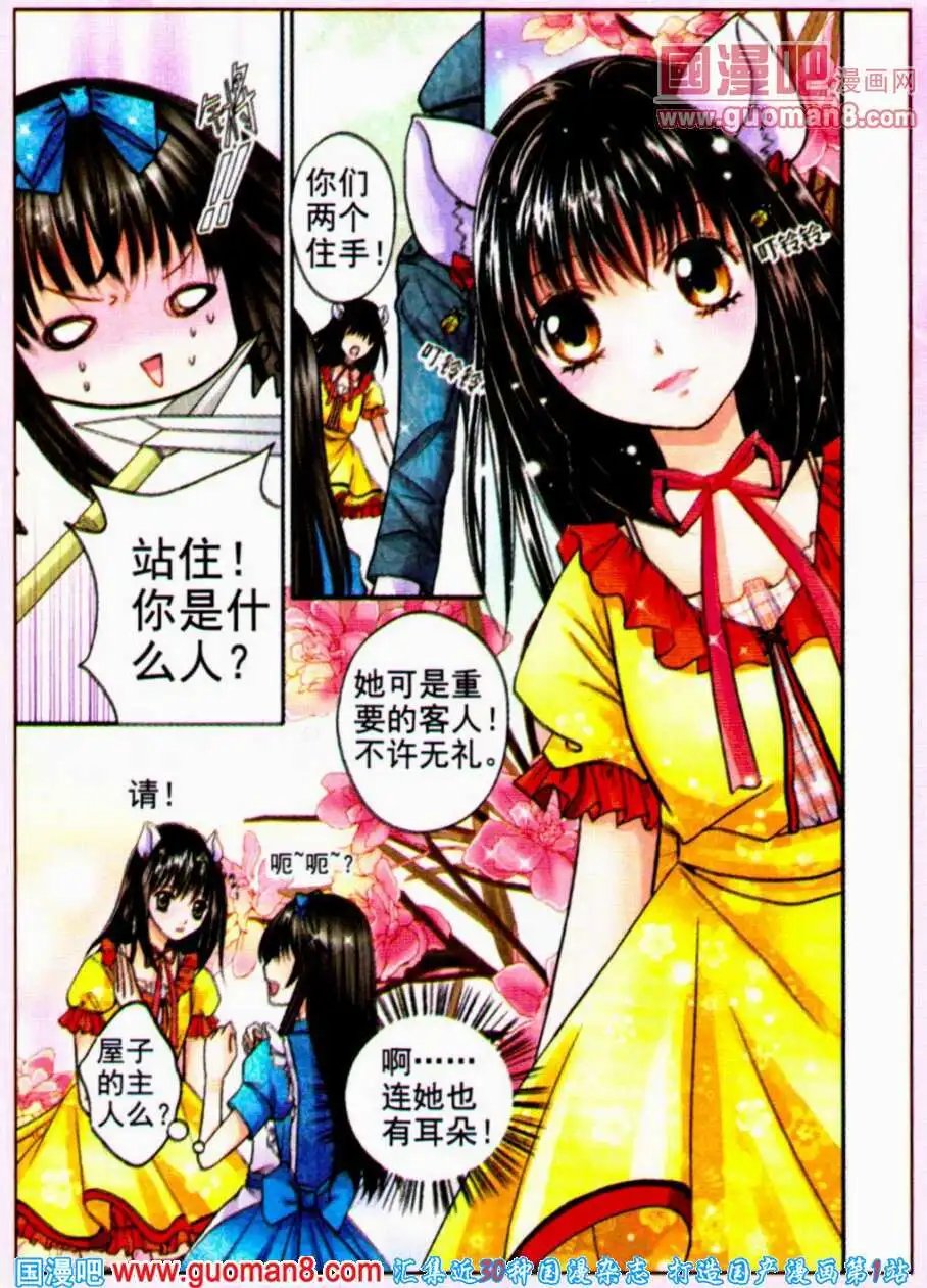 寻找红心女王（二）