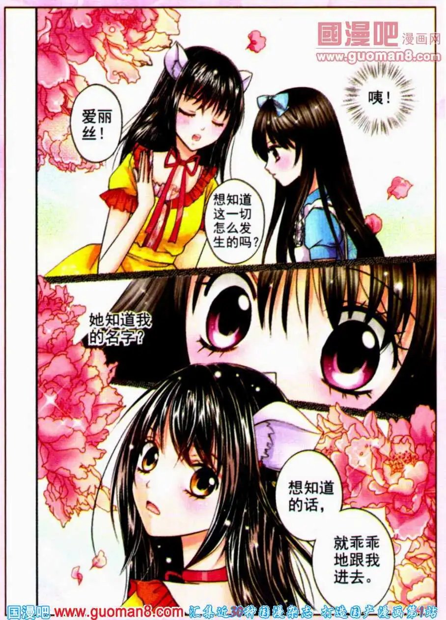 寻找红心女王（二）