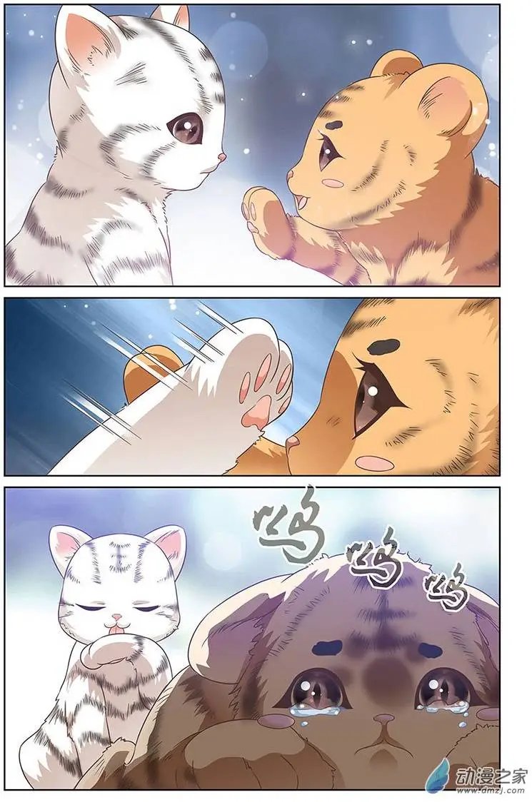 第06回