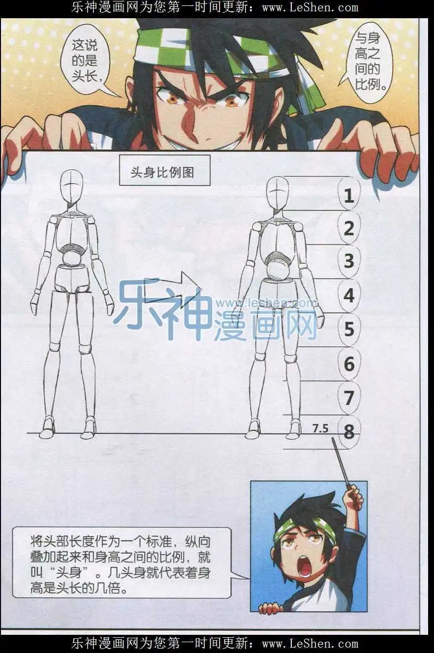 第14话 什么是头身比？