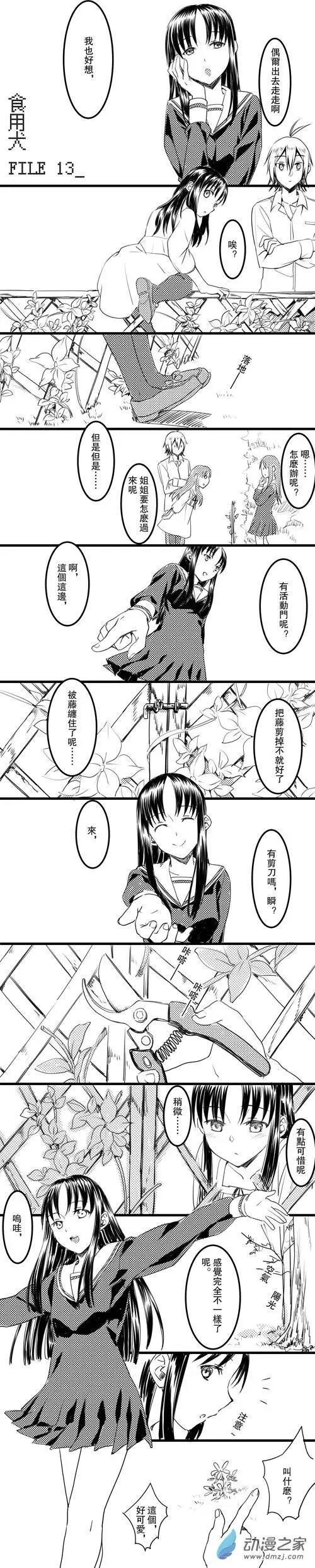 第13回 食用犬