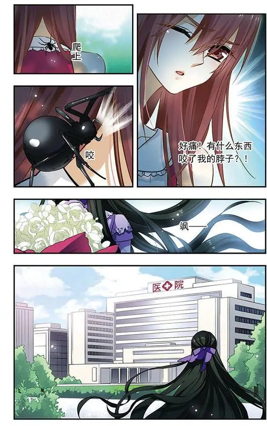 第114话 收网之蛛