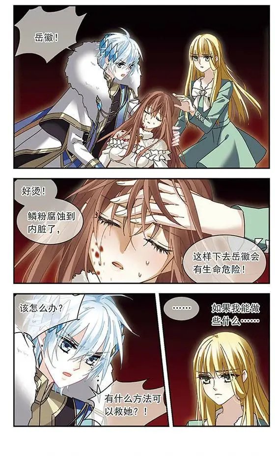 第141话 南凤之羽