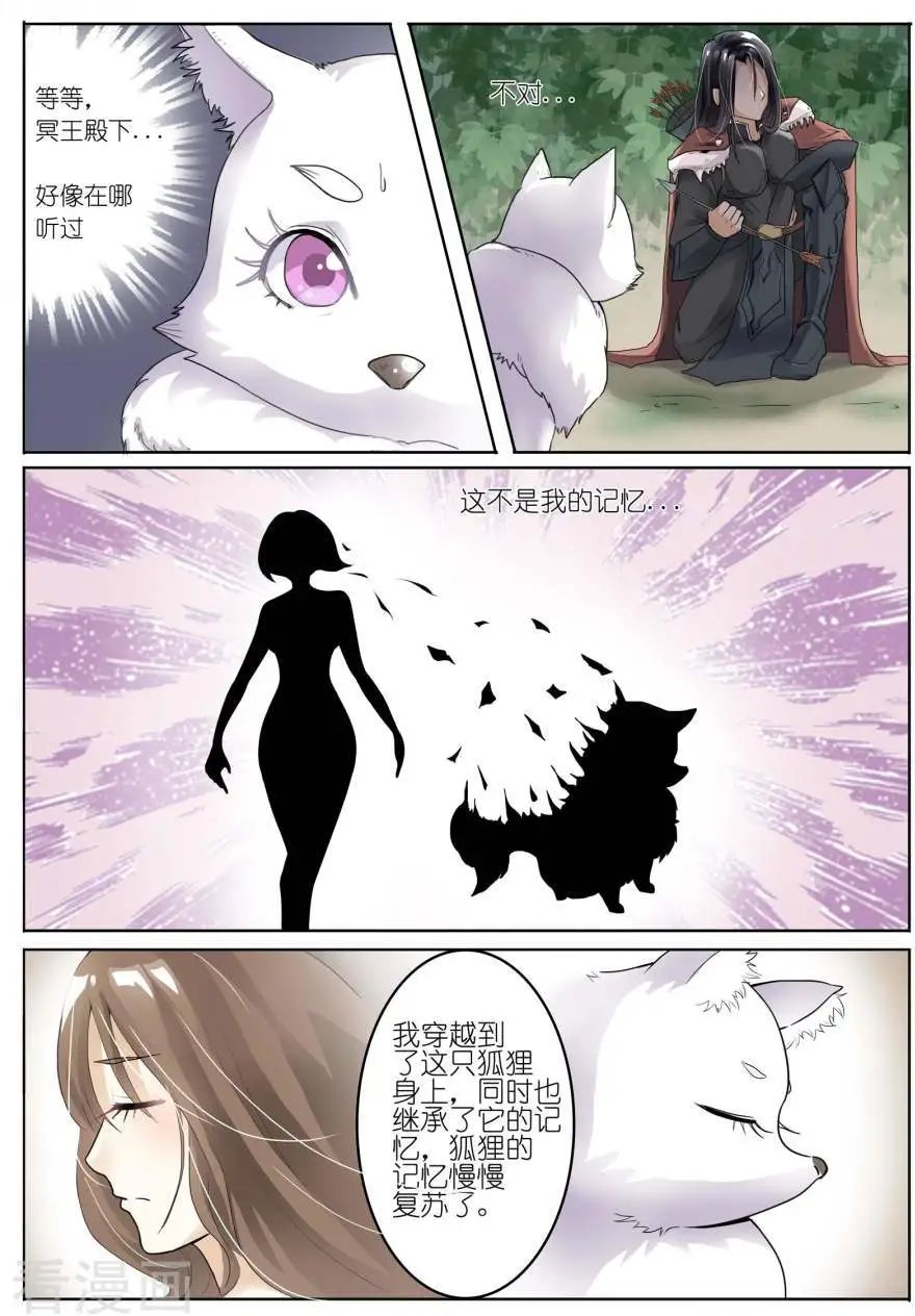 第1话 蠢狐狸与玉面冥王