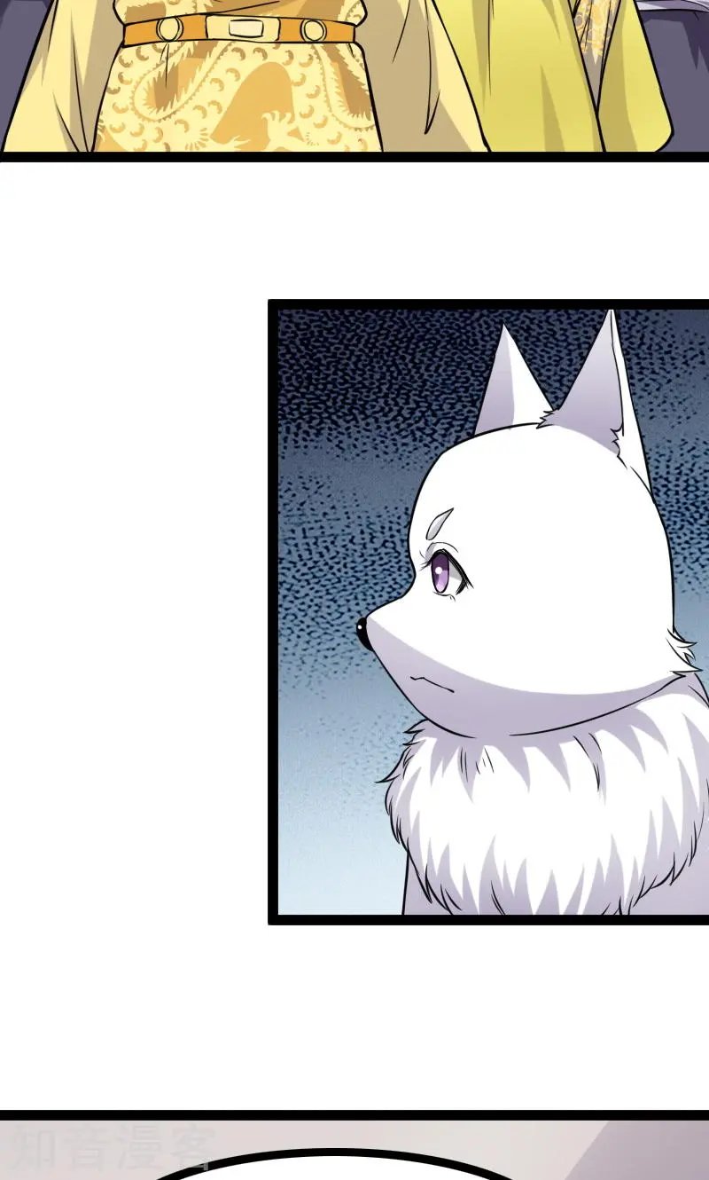 第100话 献礼