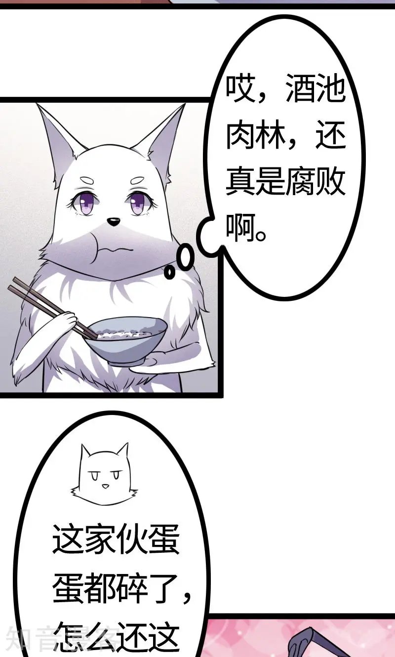 第100话 献礼