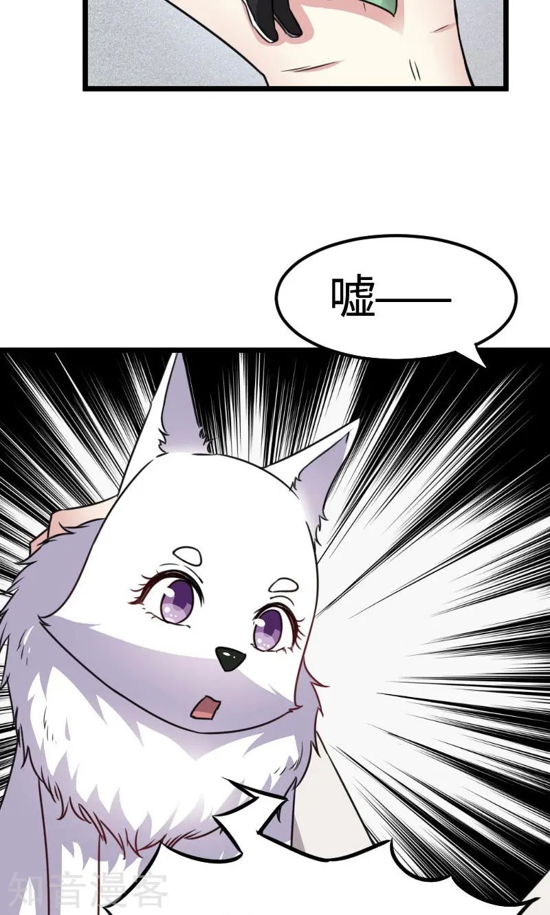 第106话 舆论压力