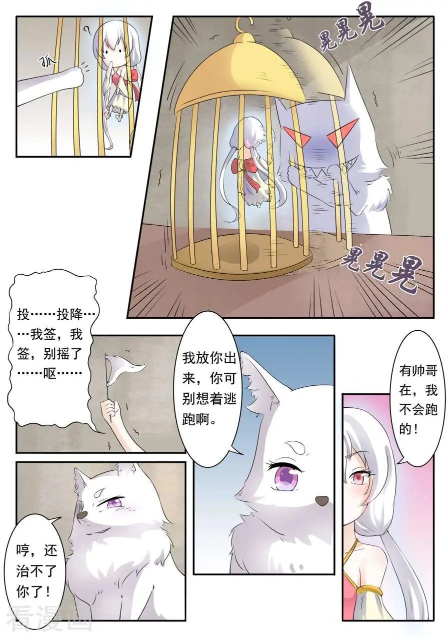第11话 签订契约