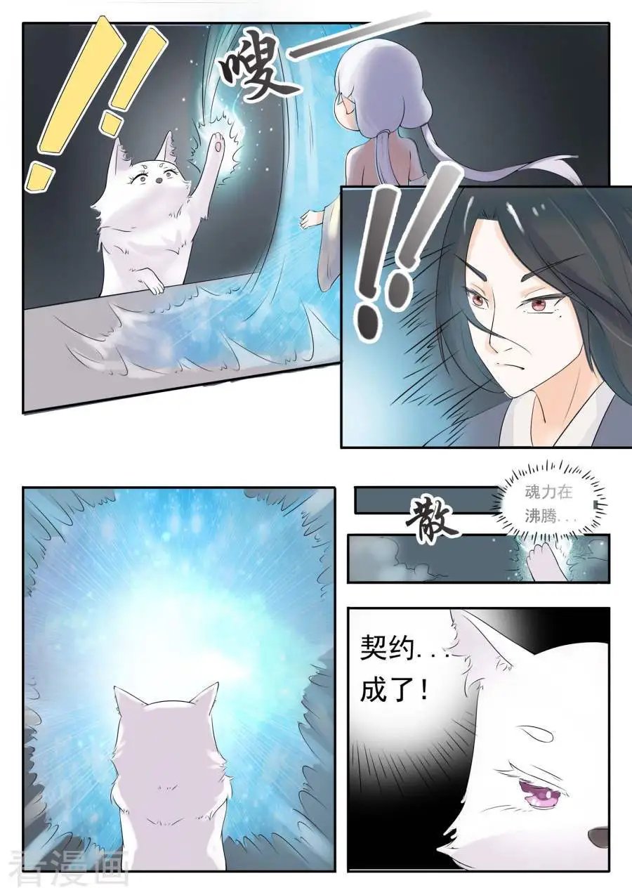 第11话 签订契约
