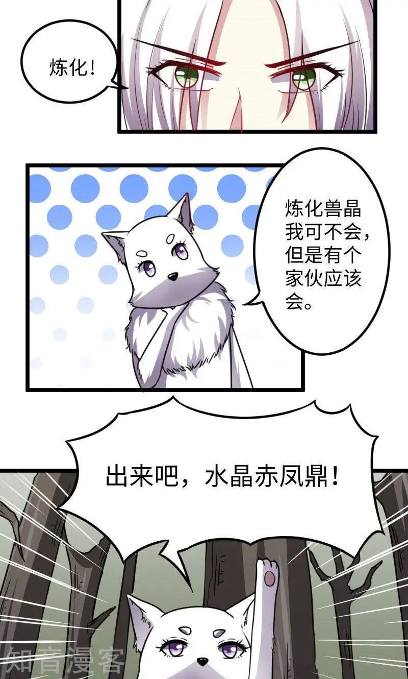 第118话 炼化兽精