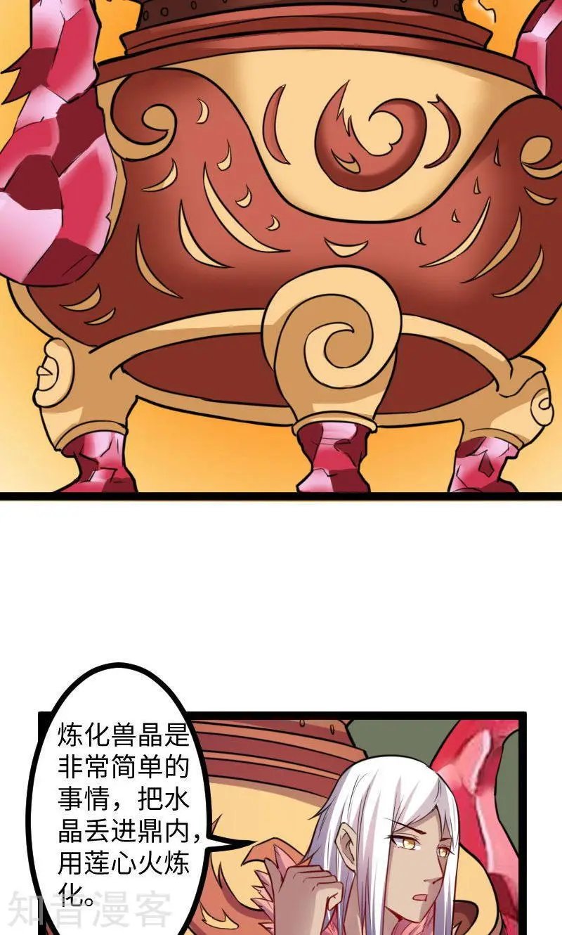 第118话 炼化兽精