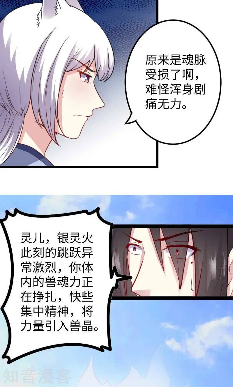 第136话 小狐狸要挂了
