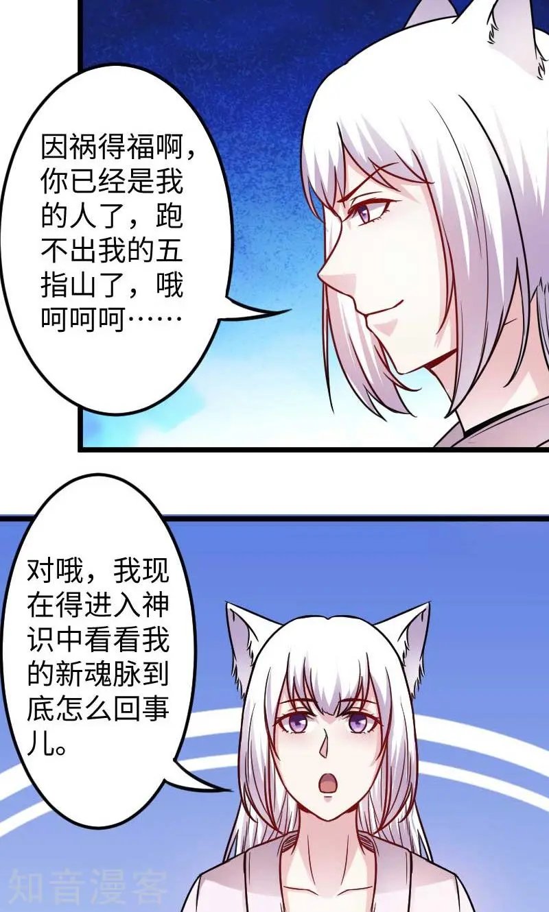 第137话 春宵一刻值千金