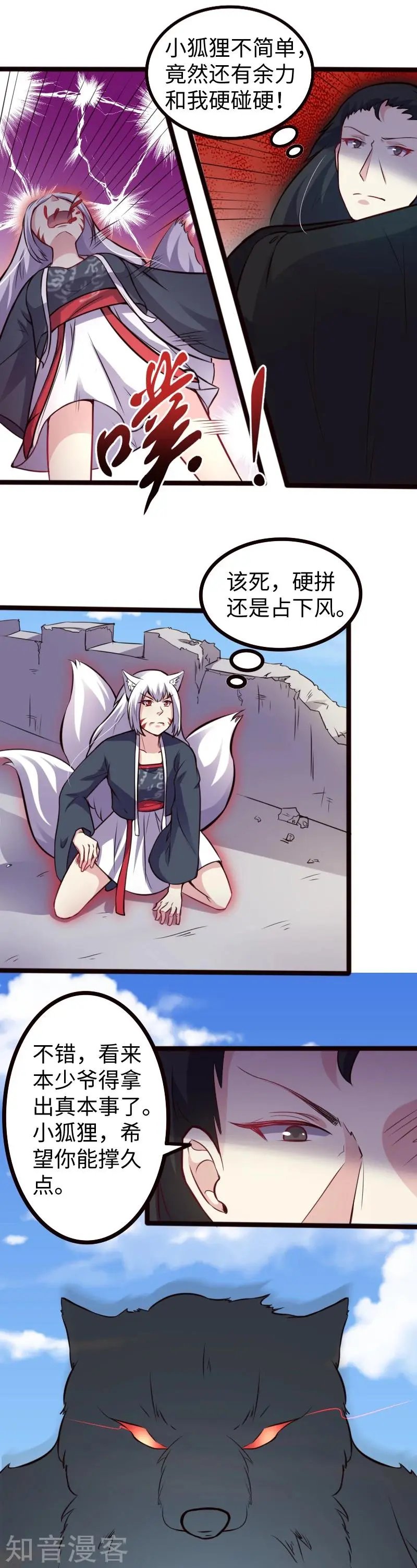 第177话 熊VS狐狸