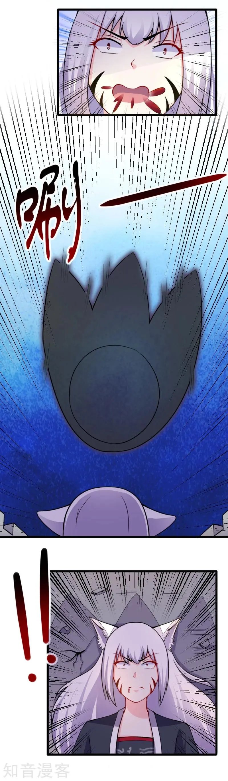 第177话 熊VS狐狸