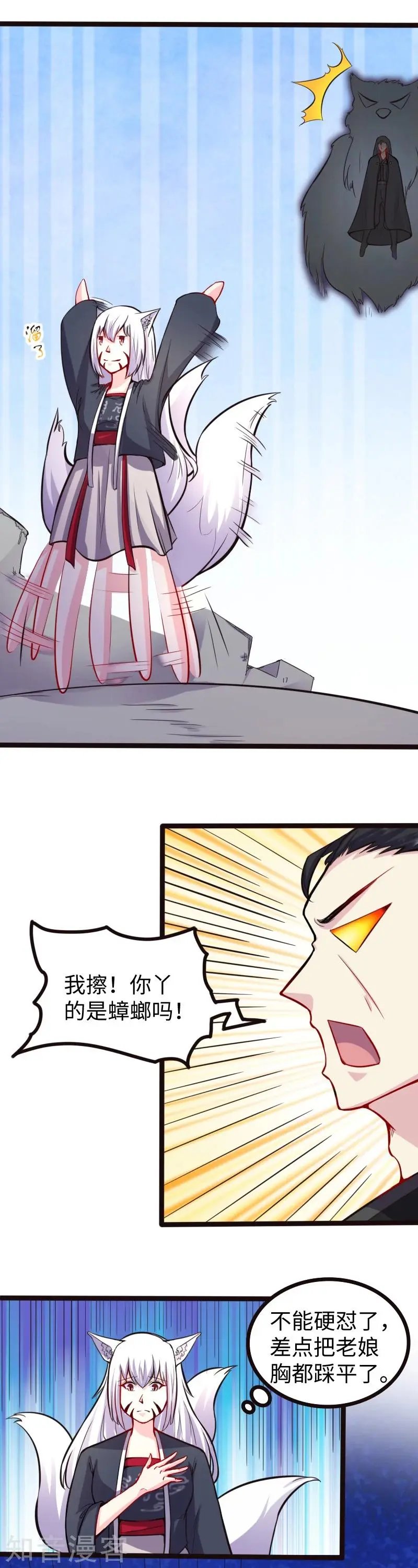 第177话 熊VS狐狸