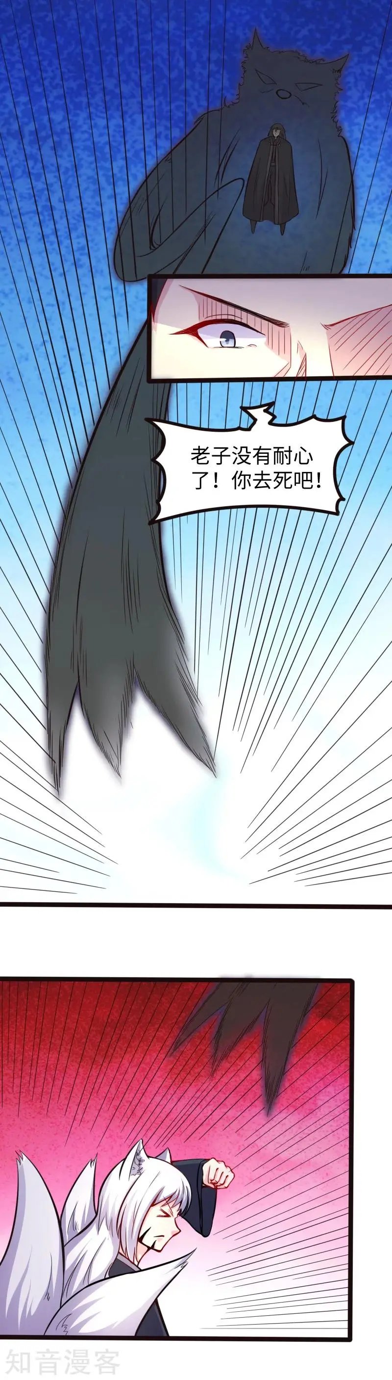 第177话 熊VS狐狸