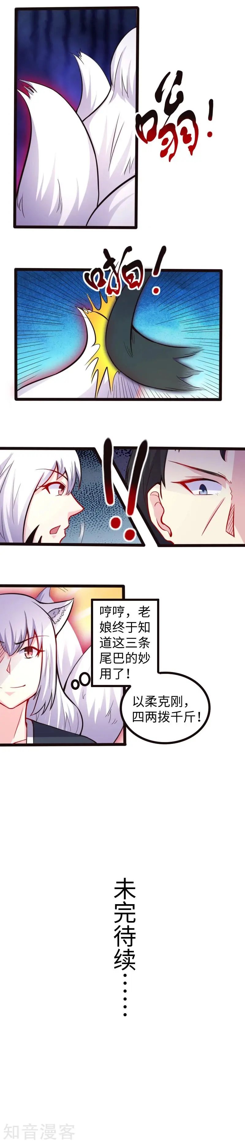 第177话 熊VS狐狸