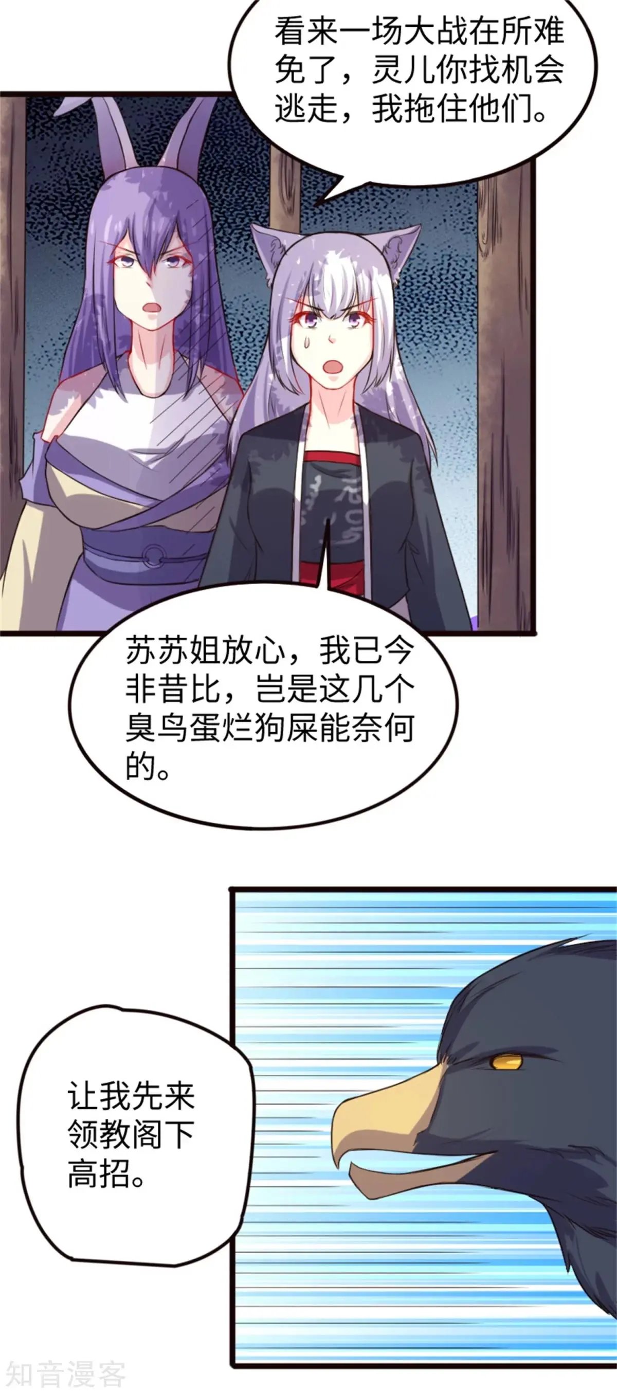 第194话 兔兔
