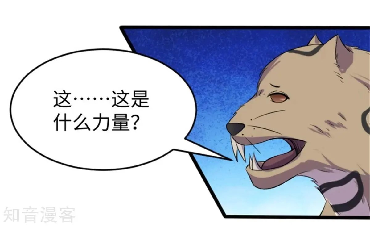 第195话 童灵灵的实力