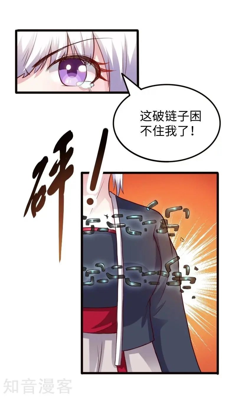 第220话 大笨蛋