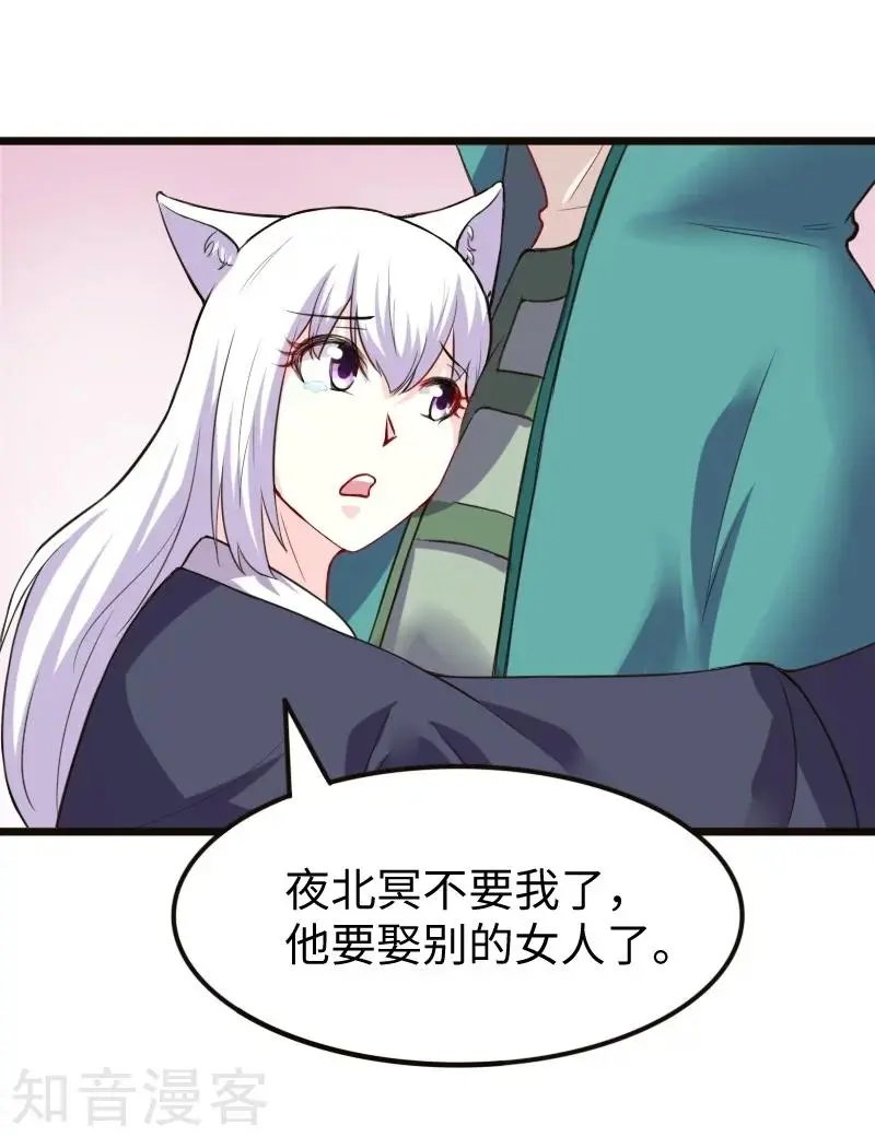 第222话 小狐狸被甩了