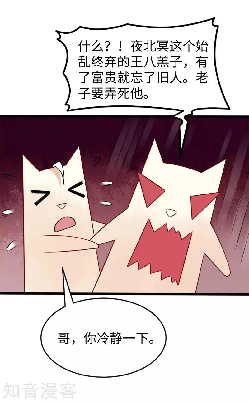 第223话 狐天尊