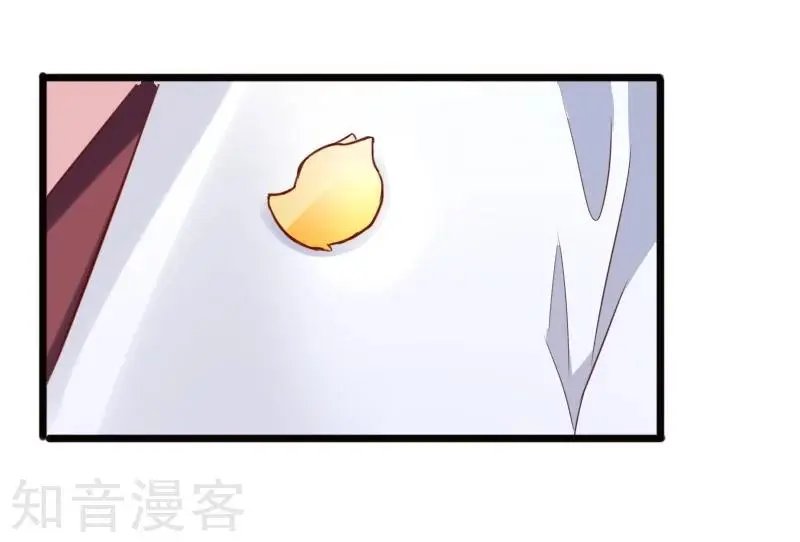 第227话 混战