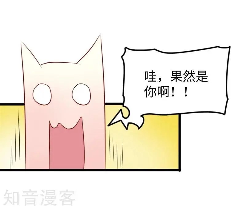 第231话 陆霜霜归来