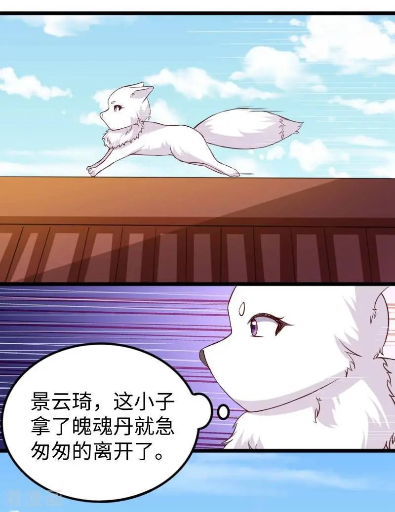 第278话 武心儿之死