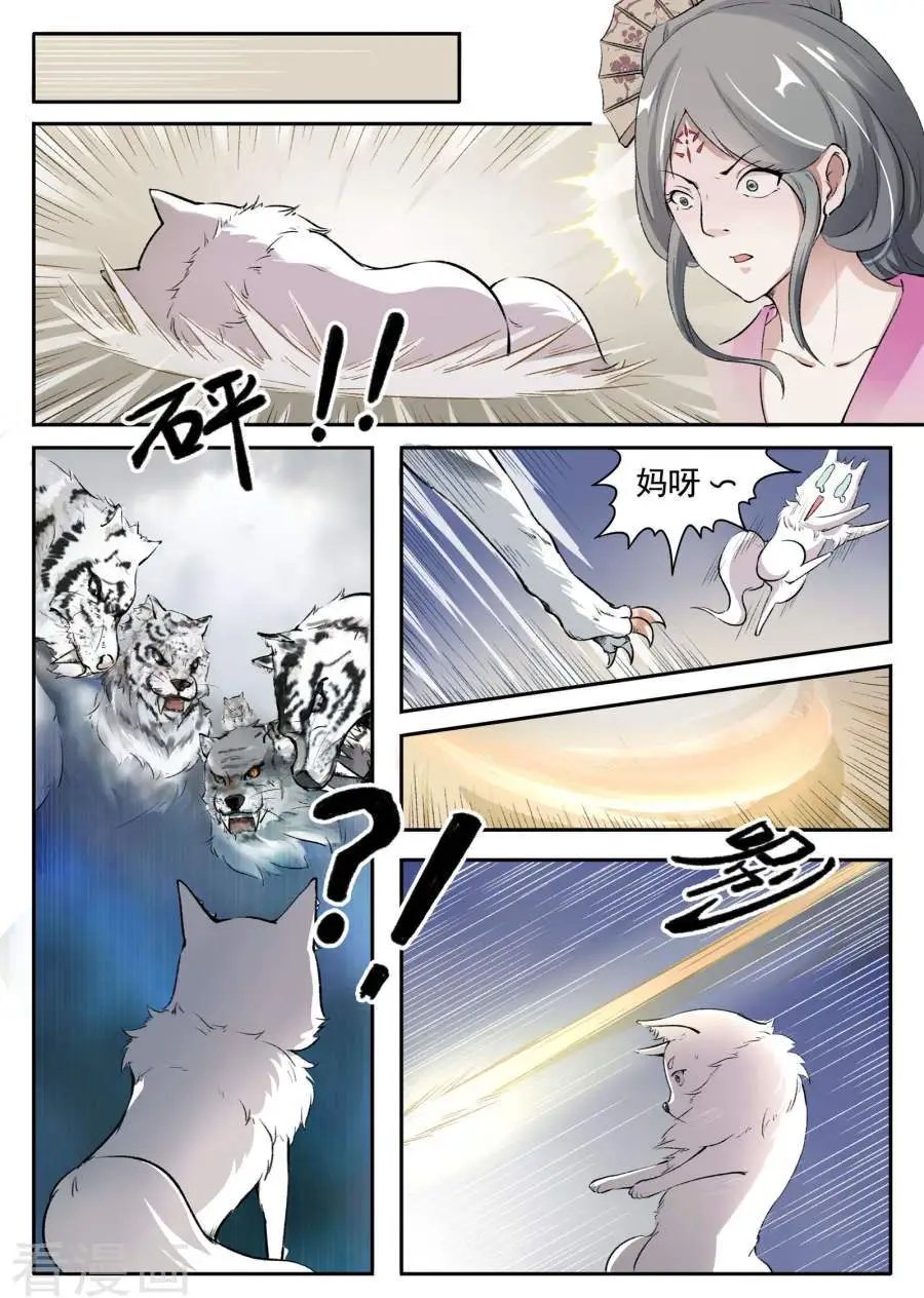 第31话 虎魂