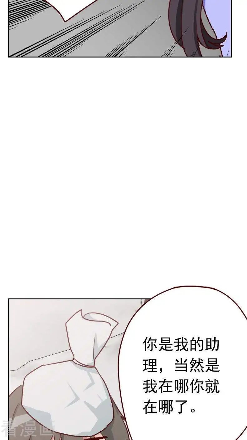 第33话 刀子嘴豆腐心的助理