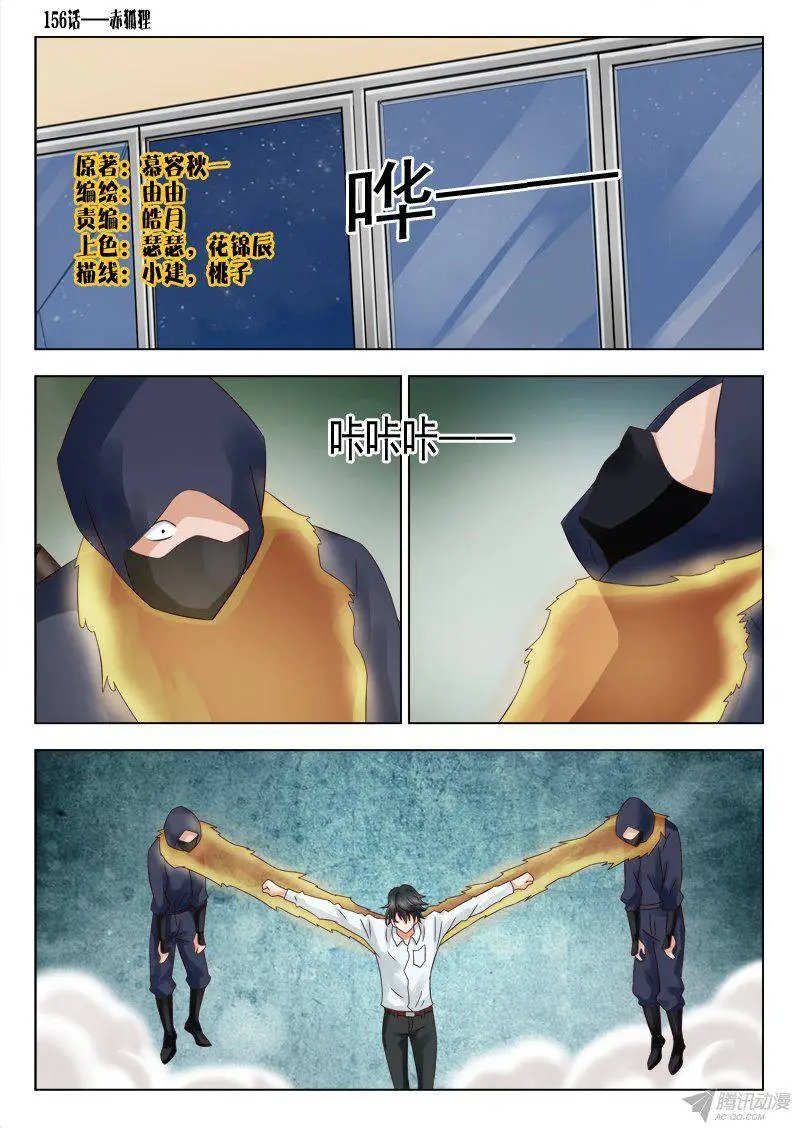 157 赤狐狸