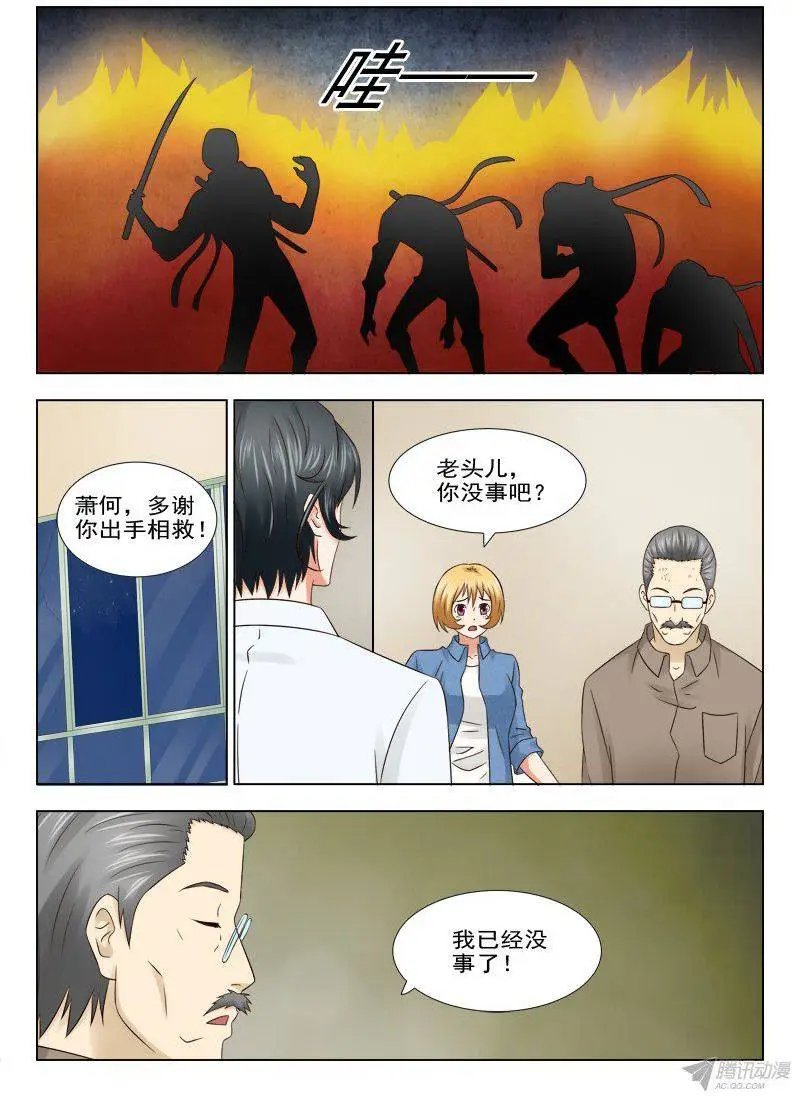 157 赤狐狸