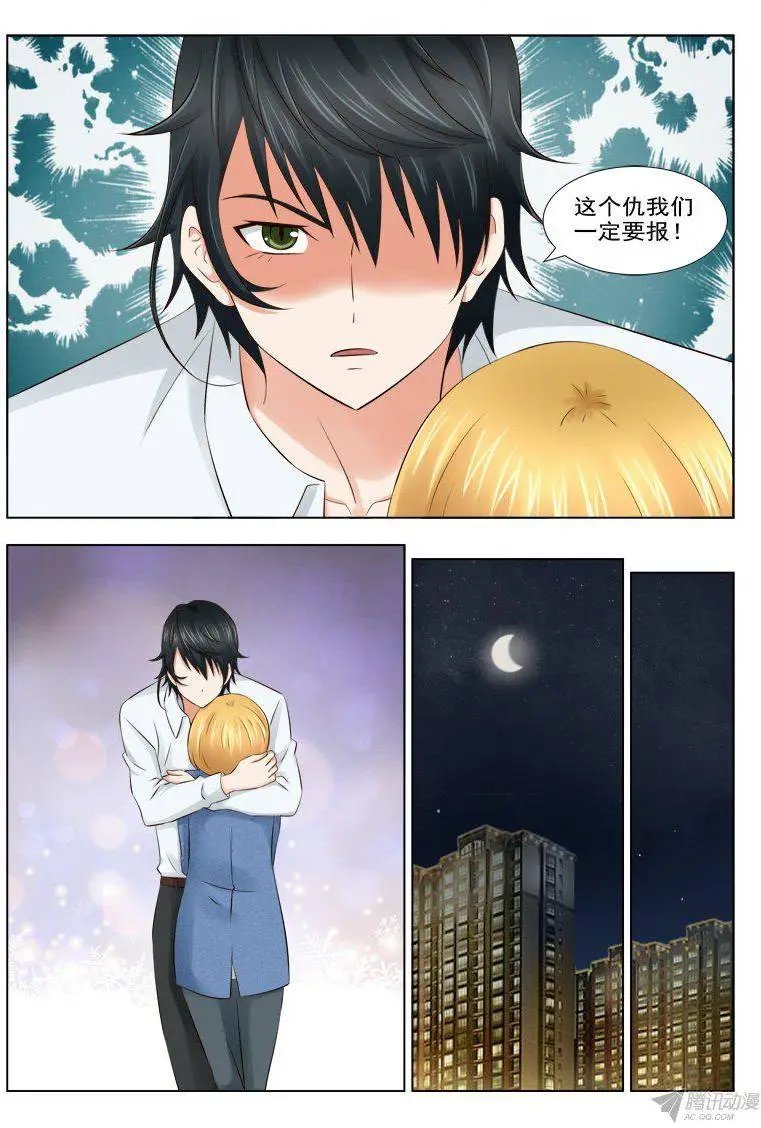 157 赤狐狸