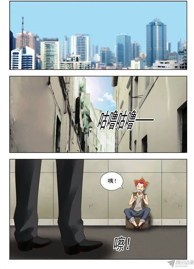 157 赤狐狸