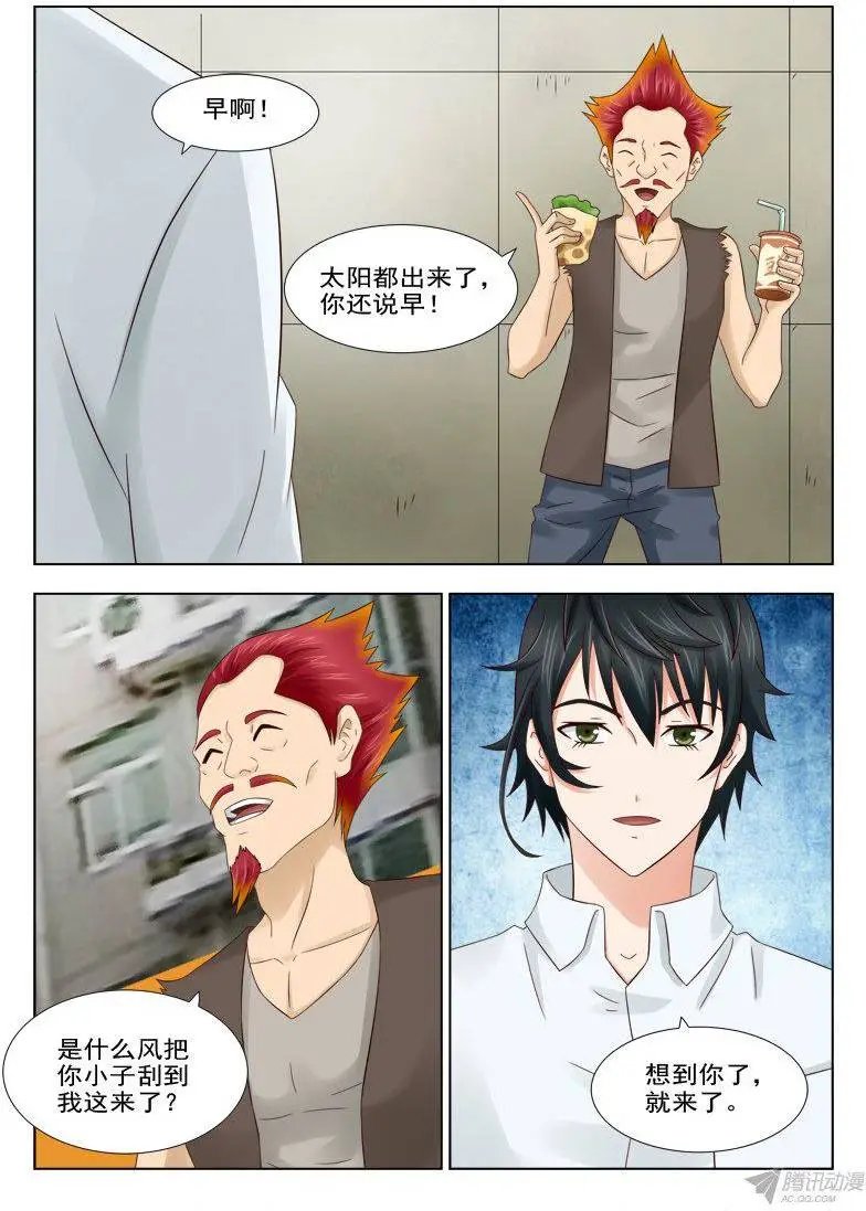 157 赤狐狸