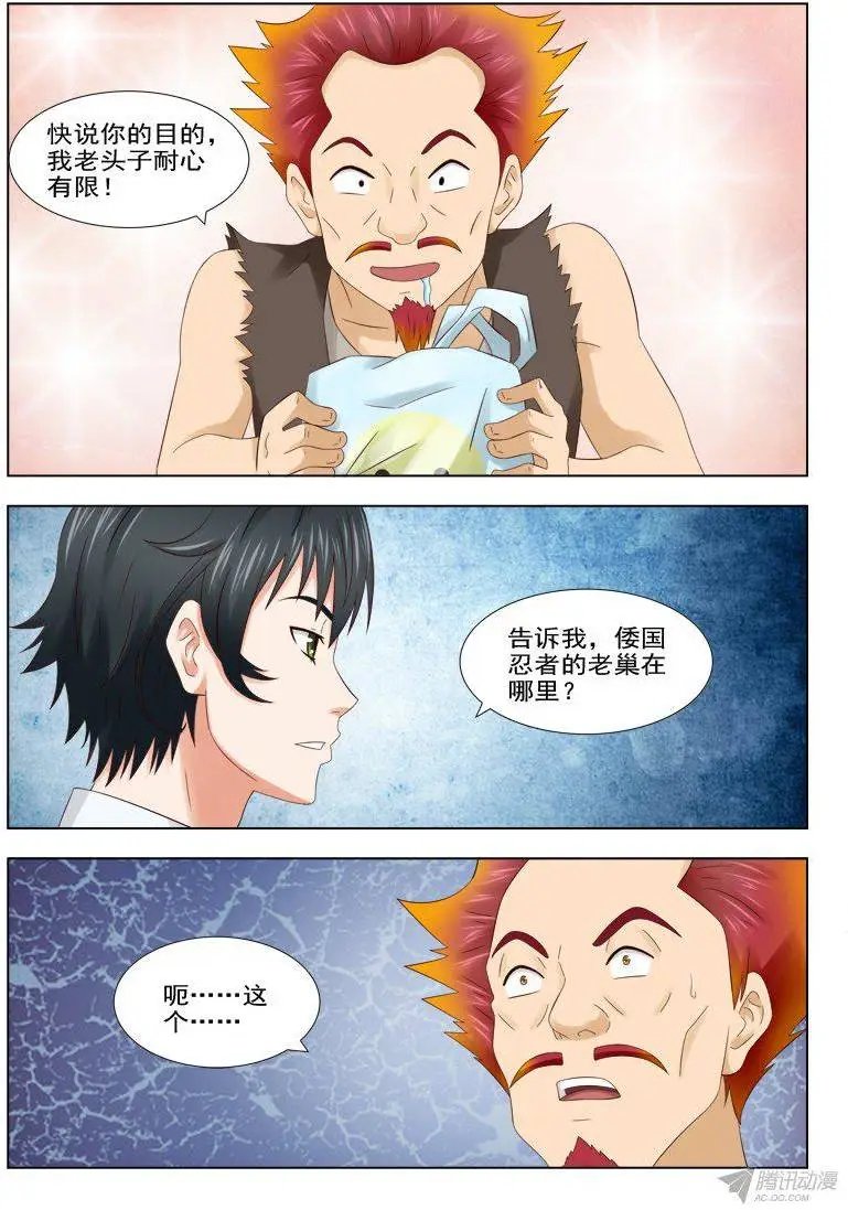 157 赤狐狸