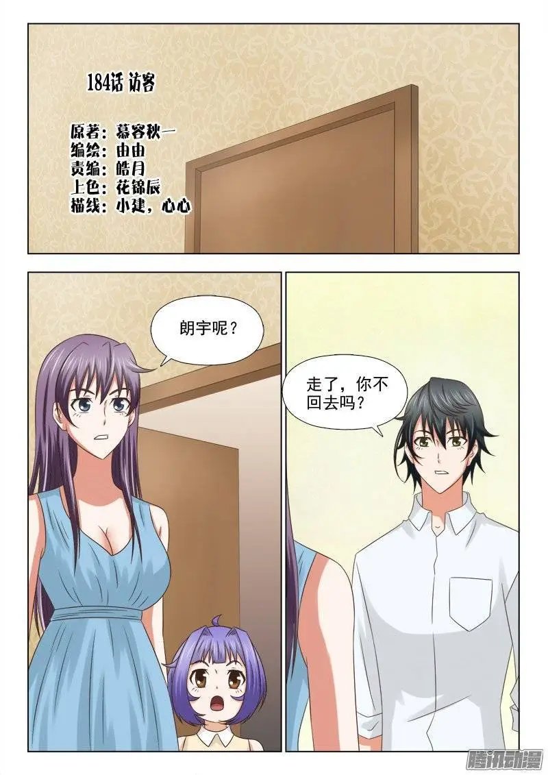 184 访客