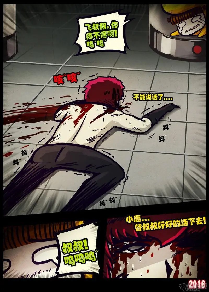 第017集