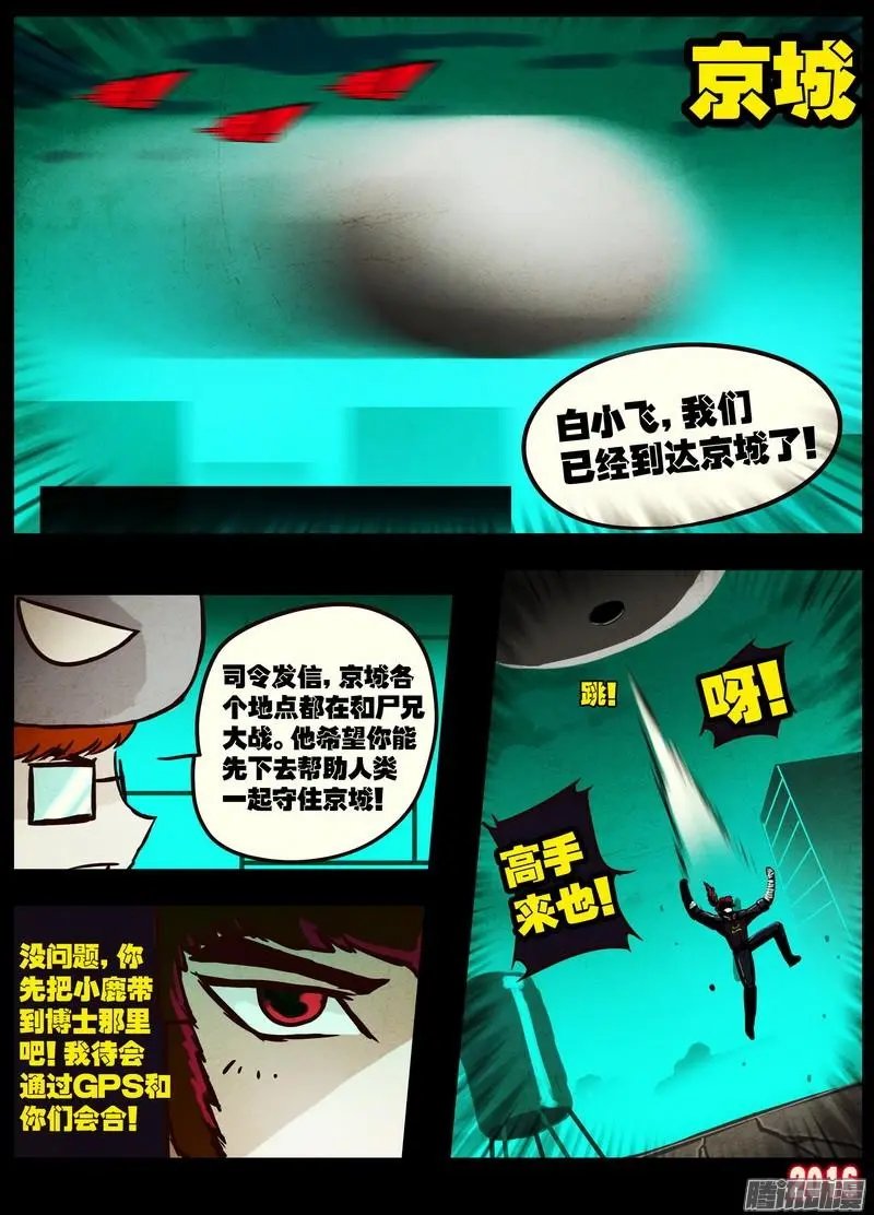 第041集