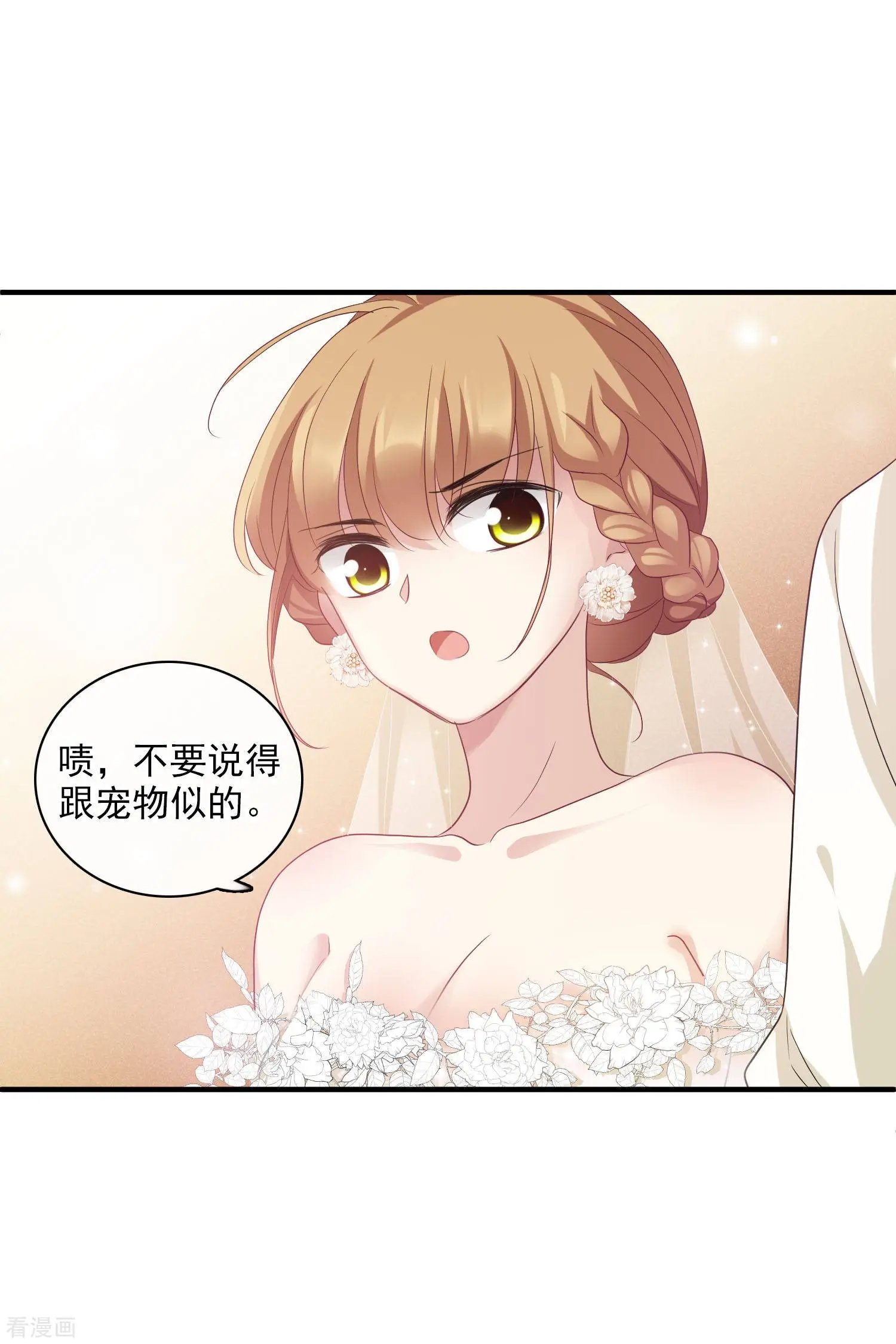 第59话2 订婚发布会