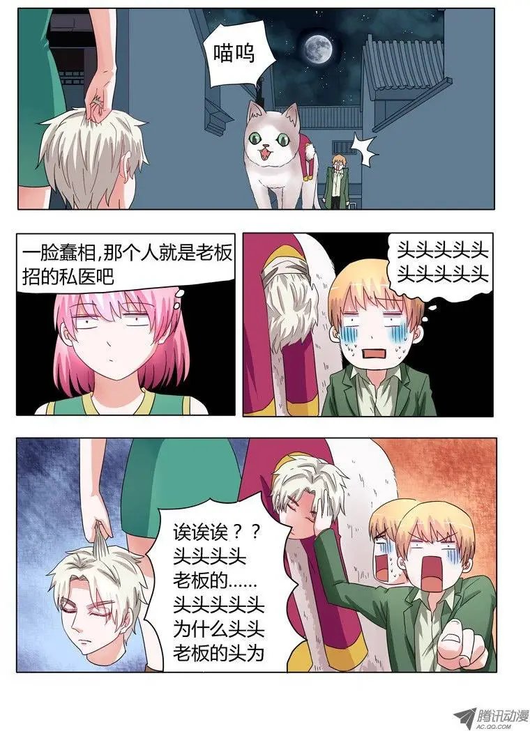 003：女汉子司徒兰兰