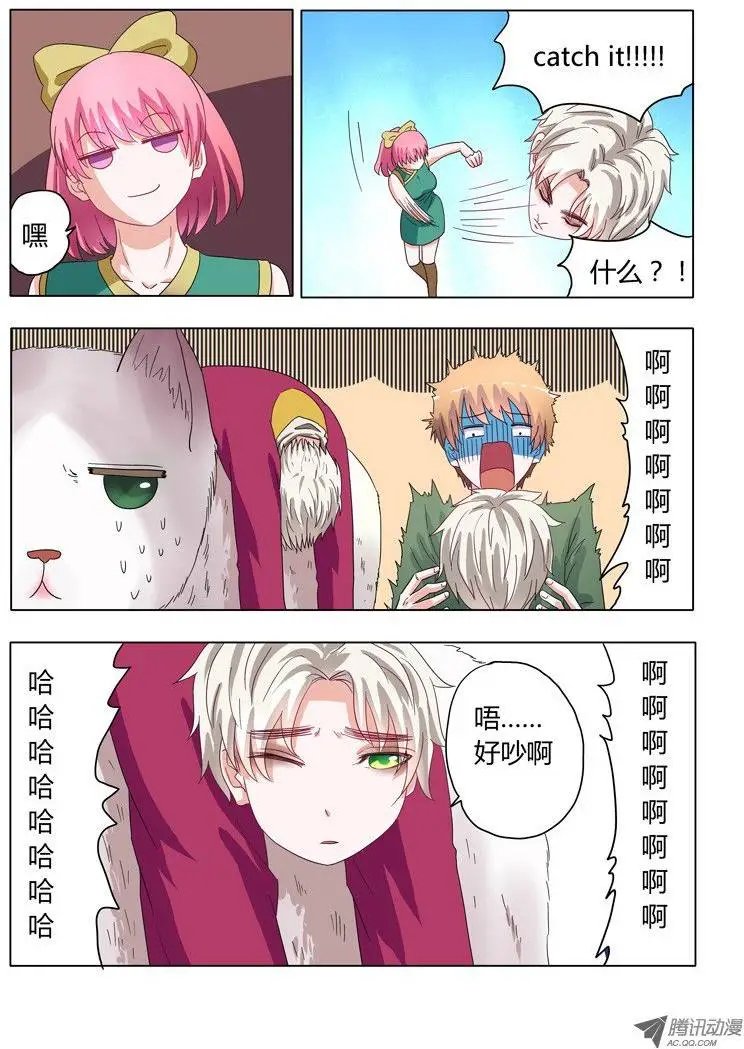 003：女汉子司徒兰兰