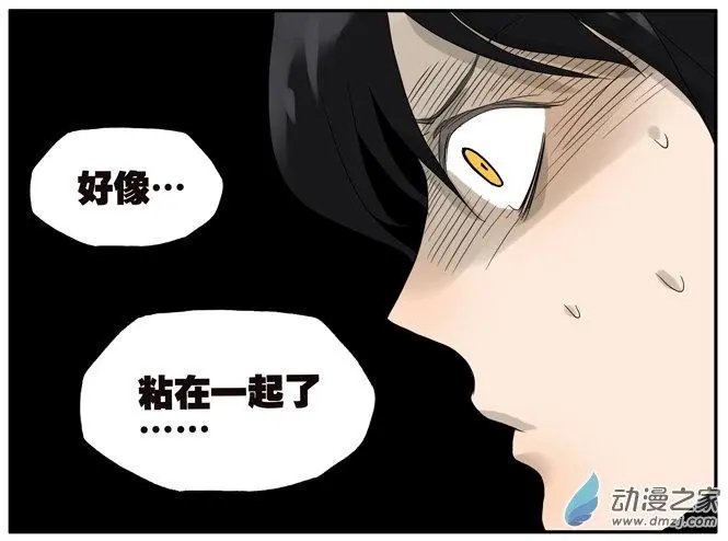 第33回 强力胶
