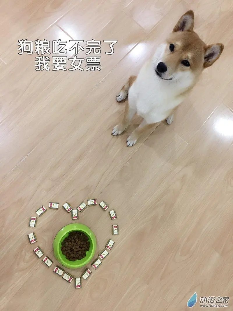 第42回 情人节番外篇